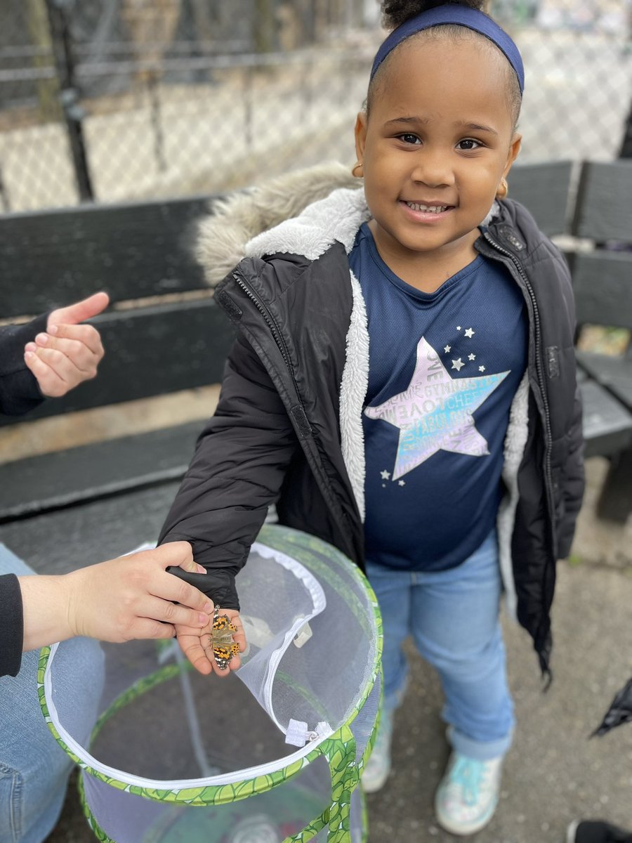 Magnet157's tweet photo. 3K and Ms. Flynn celebrating raising caterpillars to butterflies today by releasing them into our native habitats.  #butterfly #gardening #Science @NYCDOED14 @NYCGreenThumb https://t.co/k3osPEdx22