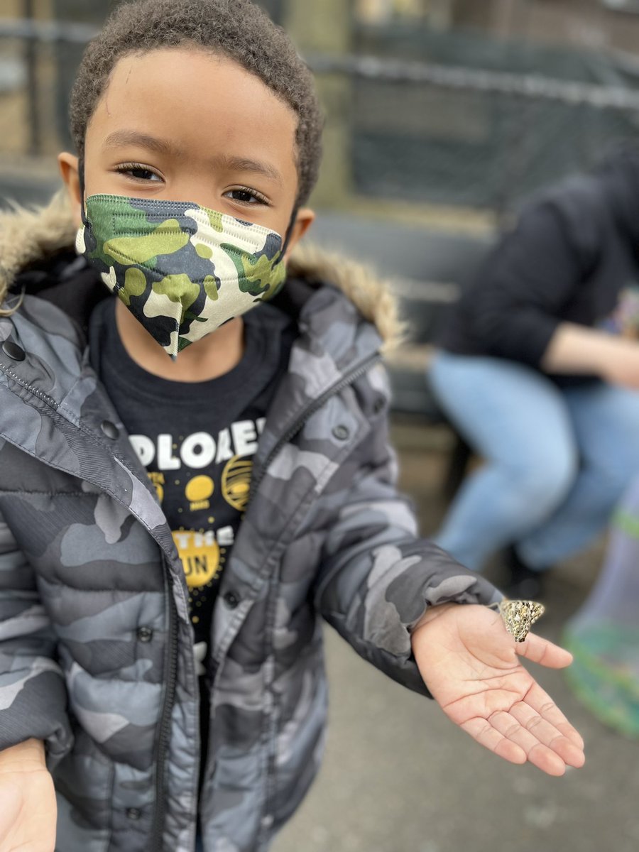 Magnet157's tweet photo. 3K and Ms. Flynn celebrating raising caterpillars to butterflies today by releasing them into our native habitats.  #butterfly #gardening #Science @NYCDOED14 @NYCGreenThumb https://t.co/k3osPEdx22