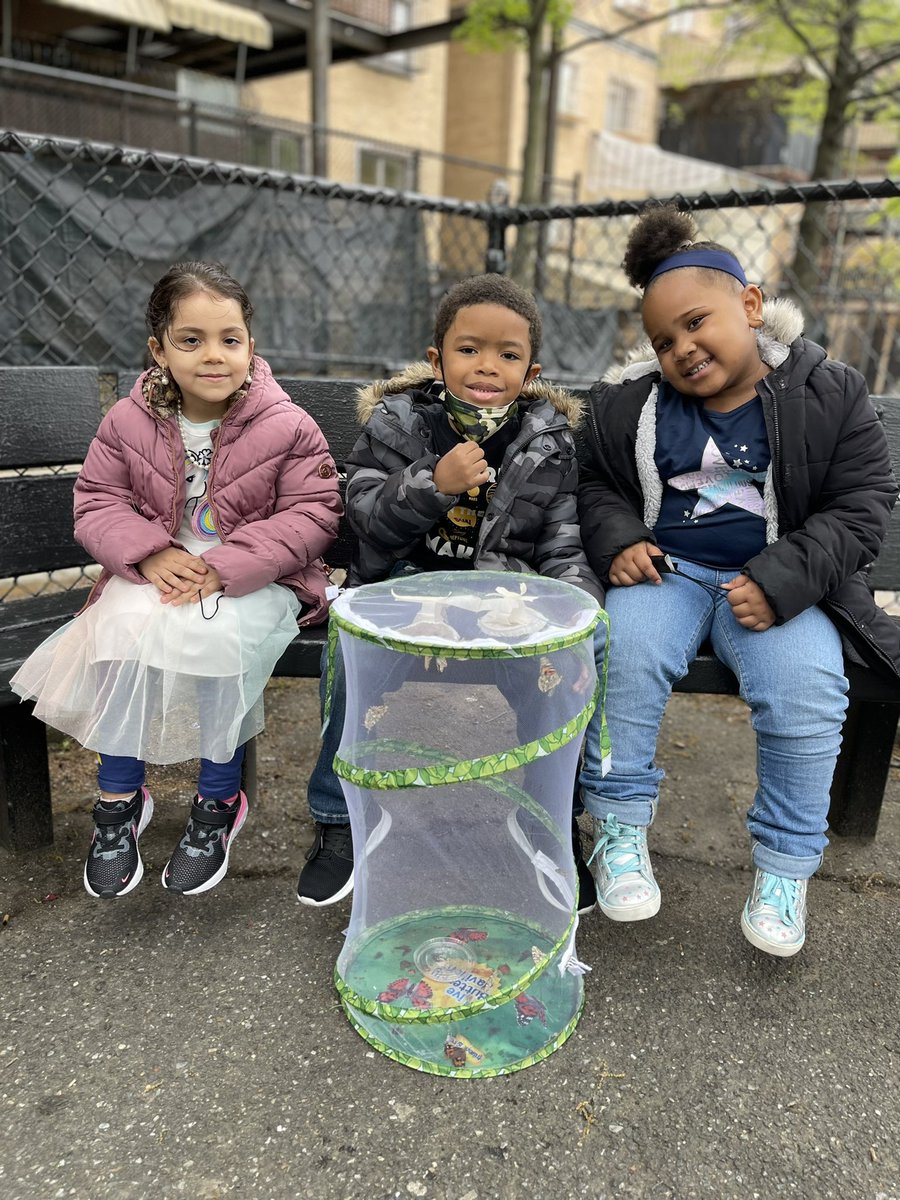 Magnet157's tweet photo. 3K and Ms. Flynn celebrating raising caterpillars to butterflies today by releasing them into our native habitats.  #butterfly #gardening #Science @NYCDOED14 @NYCGreenThumb https://t.co/k3osPEdx22