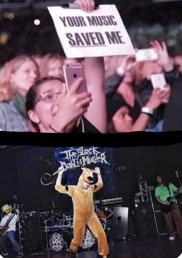 Jesse Manzo tweet media