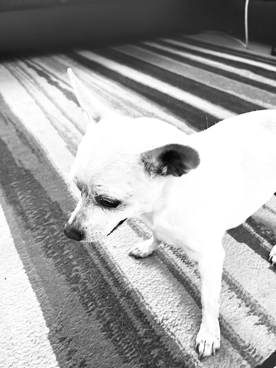 MediaFishFood's tweet image. 