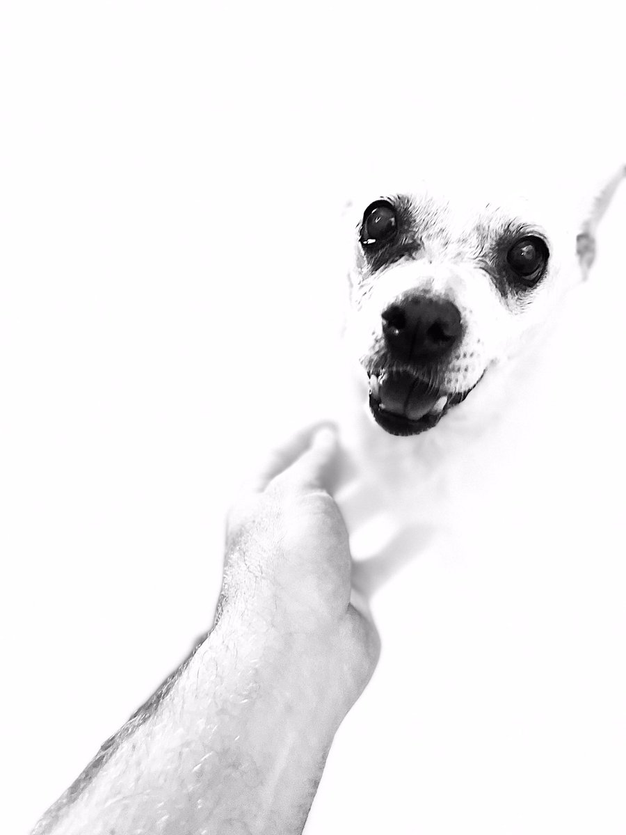 MediaFishFood's tweet image. 