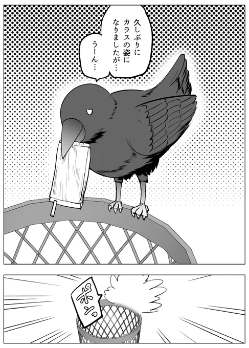 綺麗好きなカラスさん 