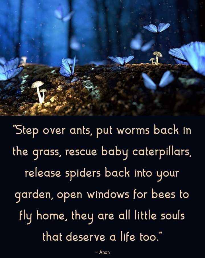OperationEarth5's tweet photo. Kindness takes zero effort to employ. 💜

#OperationEarth #OE5 #Earth #nature #NaturalBeauty #naturelovers #beauty #humanity #HumanityComesFirst #bethechange #moplanetb #savetheplanet https://t.co/jF8uTjnqZV