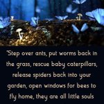 Photo by Operation Earth (@OperationEarth5)