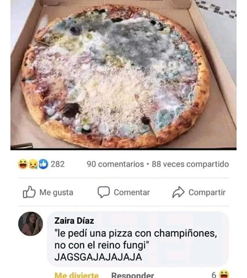 Jajajajaja, por esto es bueno formarse en microbiología con Eduvita.
Abrimos hilo!
#microbiologia #hongos #alimentos #controldecalidad #cursos #biologia #industria