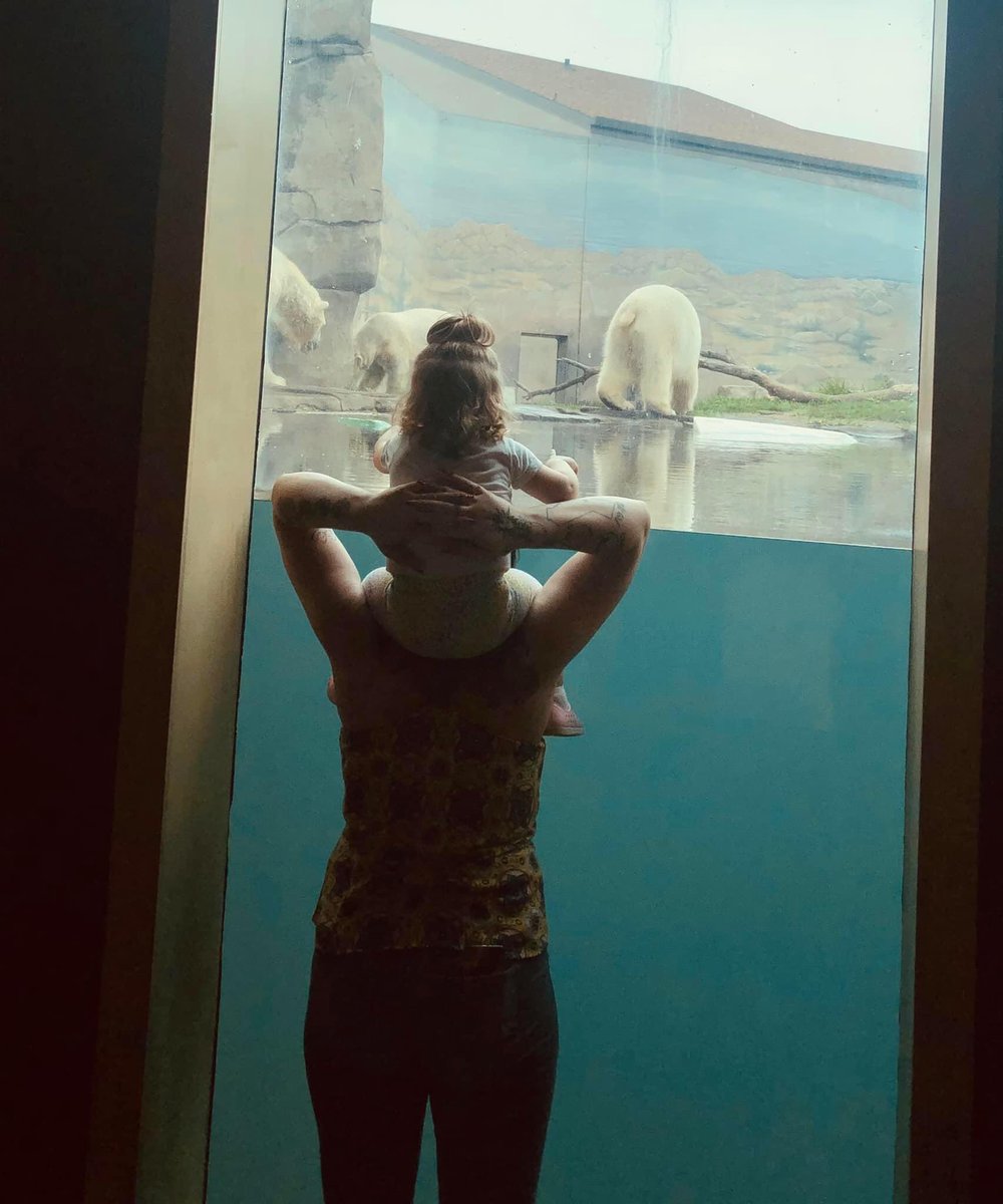jae_beezy's tweet photo. COMO yesterday 🐧🦁🦒🐒🦍 https://t.co/lkEiLbw0mB