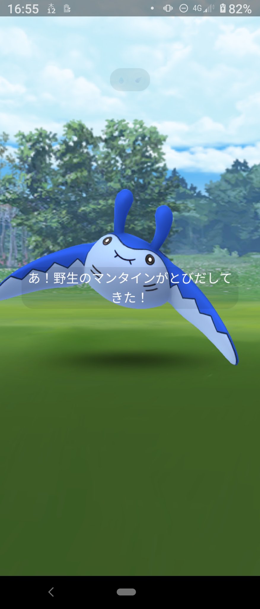 色違いマンタイン Twitter Search Twitter