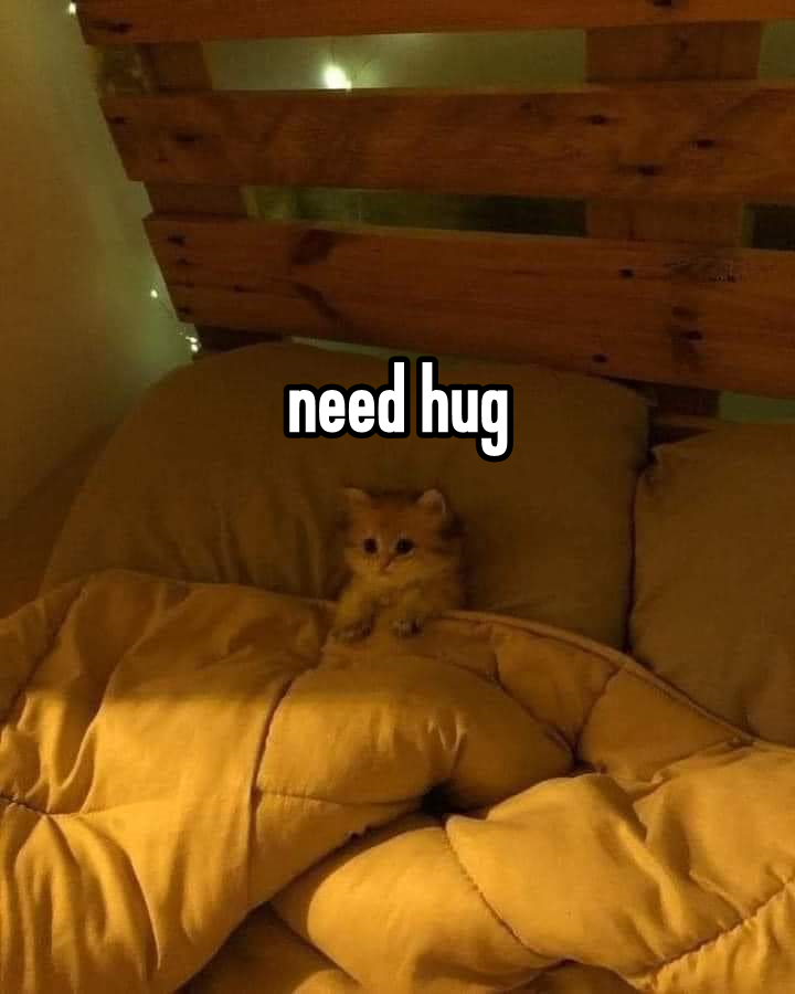 RespectfulMemes's tweet photo. https://t.co/MebcyJyZBv
