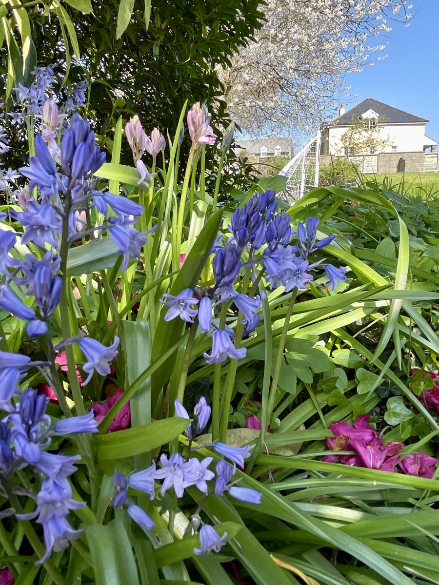 TorridgeHouse's tweet photo. https://t.co/jJoYX2RFAX cottages in the heart of glorious North Devon! https://t.co/BRK8cTzPAY
