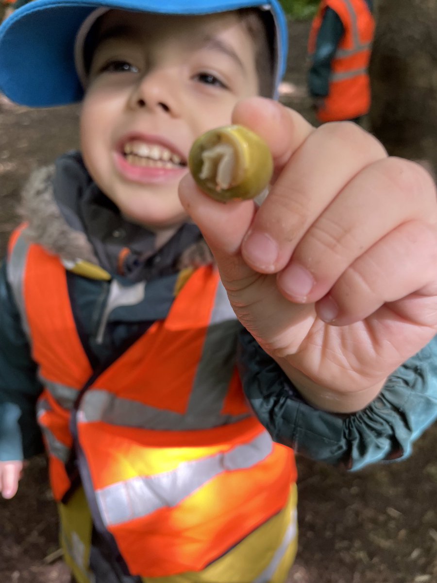 Morningside_ps's tweet photo. #nursery had a fantastic trip to forest school! We love visiting 🕸🪰🪵🌳 #eyfs #forestschool #hackneyforestschool https://t.co/asr6LTeRhJ