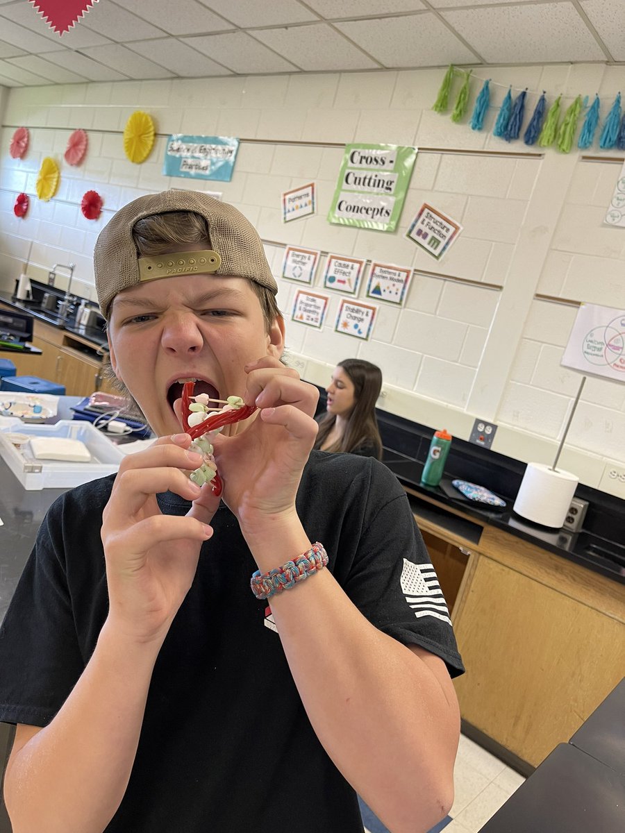 MrsMLombardo's tweet photo. @BeachMiddle Ss building DNA molecules given a nucleic acid base sequence. Then they devoured them! https://t.co/bxfzOfFdou