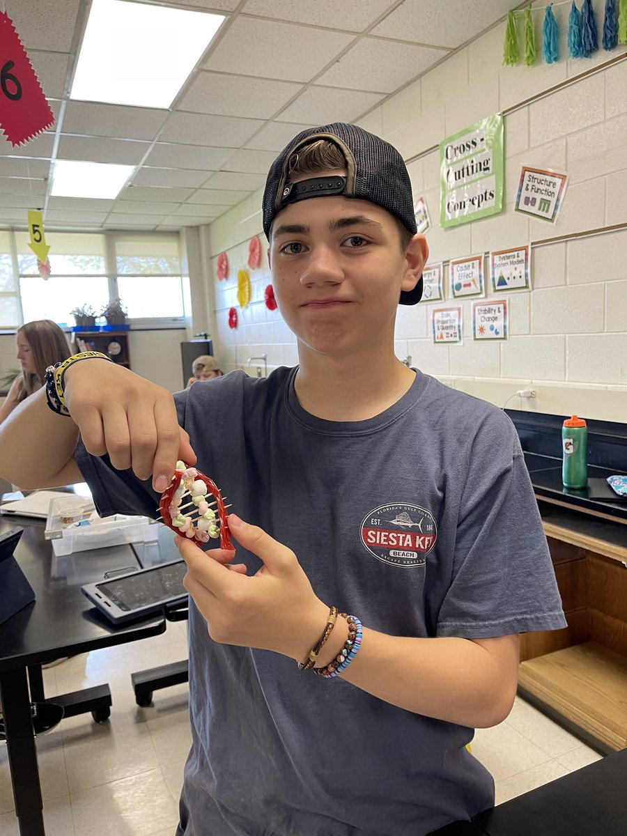 MrsMLombardo's tweet photo. @BeachMiddle Ss building DNA molecules given a nucleic acid base sequence. Then they devoured them! https://t.co/bxfzOfFdou