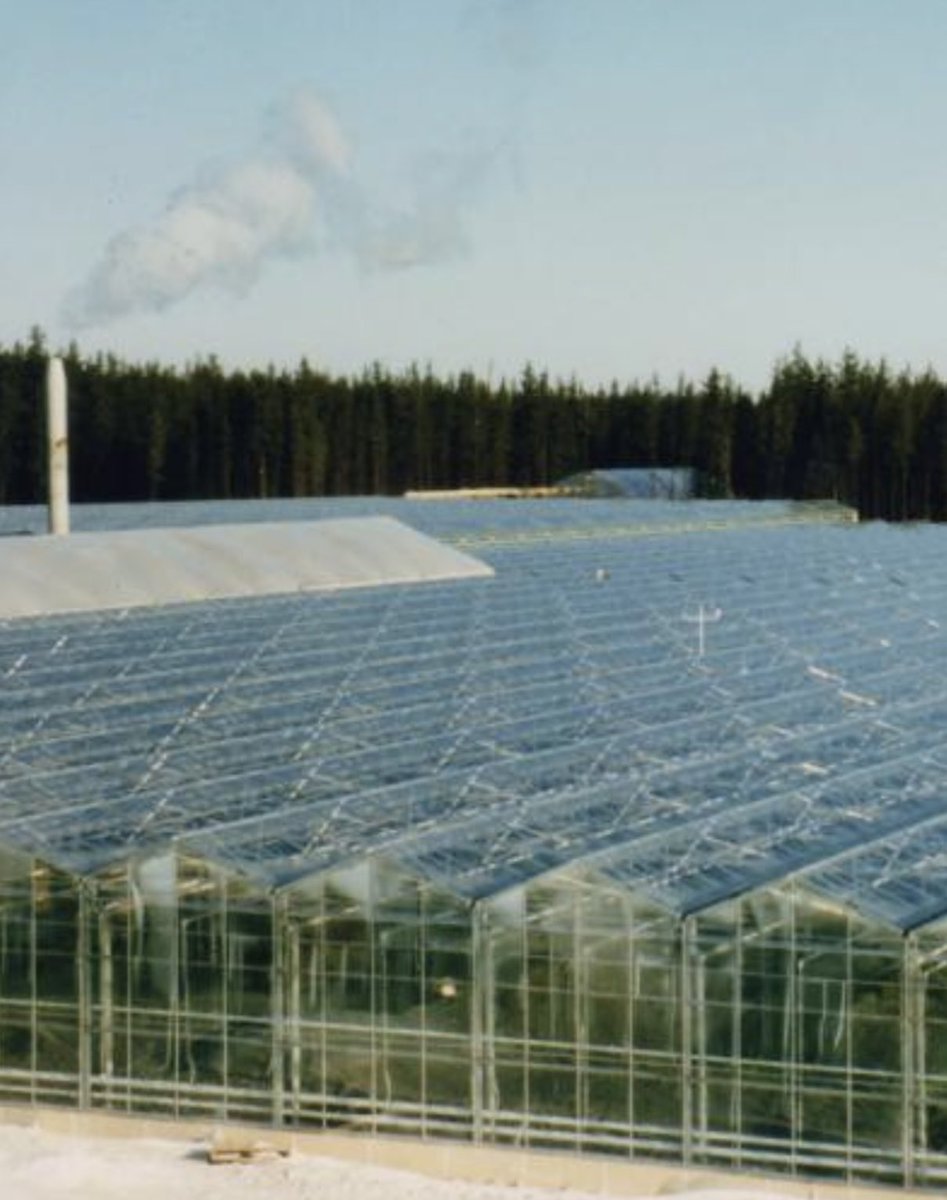 MECSystemsInc's tweet photo. Humidification is the way to combat dry air and the problems that come with it in certain industries such as greenhouses to prevent moisture loss and stress on plants resulting in smaller returns on your investment.🪴

Questions? Give us a shout!

#humidificationsystem https://t.co/TUcEQode9h