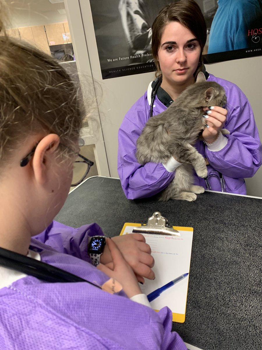 tollesvettech's tweet photo. It’s Cat Day today at Tolles Pre Vet Tech - General Parameters and Physial Assessments🐱🩺 https://t.co/I0SzMFV65G
