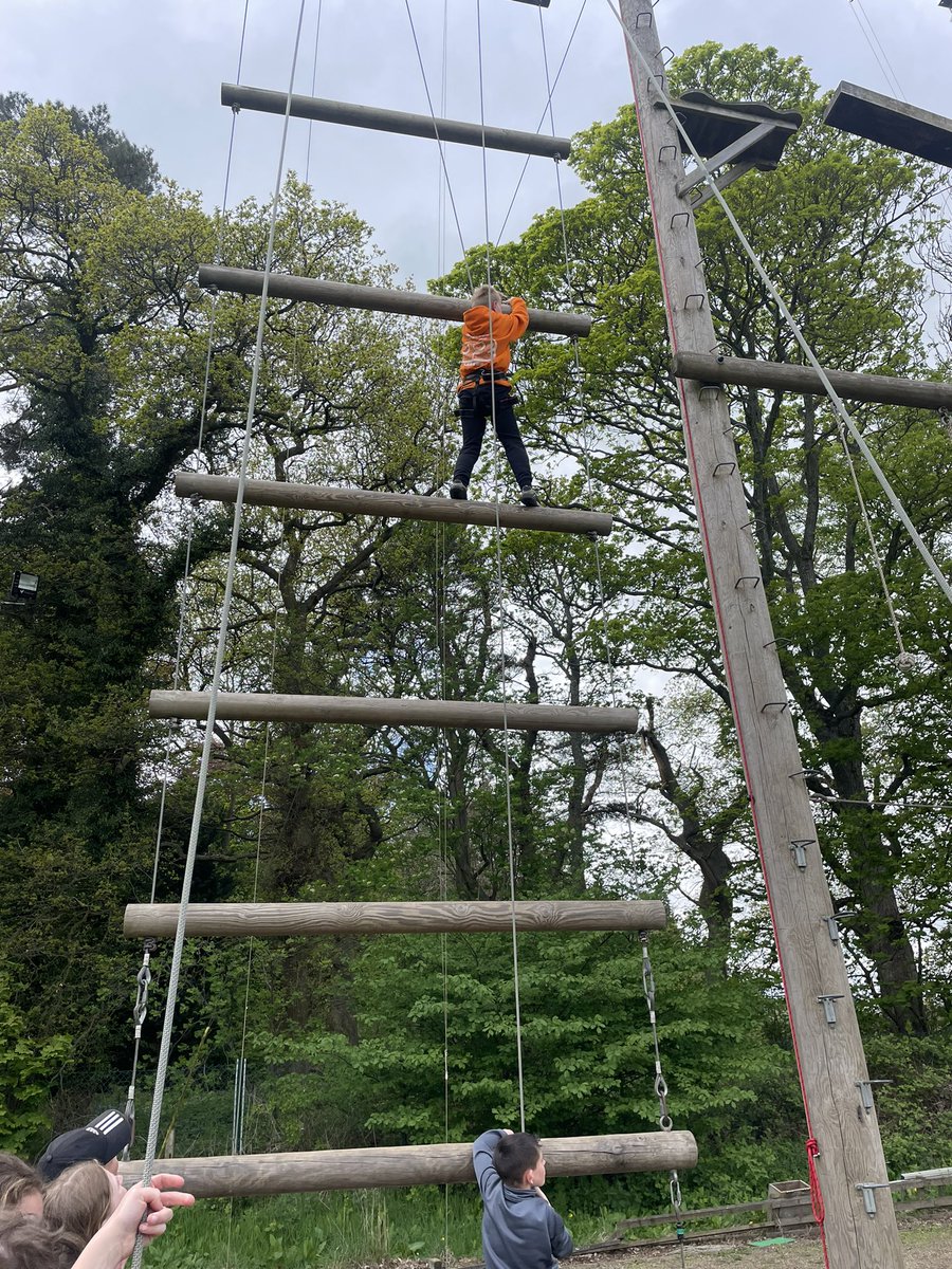 broxburn_ps's tweet photo. It’s not Jacob’s ladder, it’s mine! #group16 #broxcamp22 https://t.co/AaJKZwV3Hk