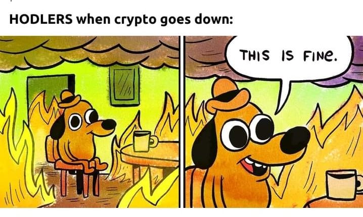 emiliocmanager's tweet photo. Todo esta en orden. #BTC https://t.co/GnlYq8lkqQ