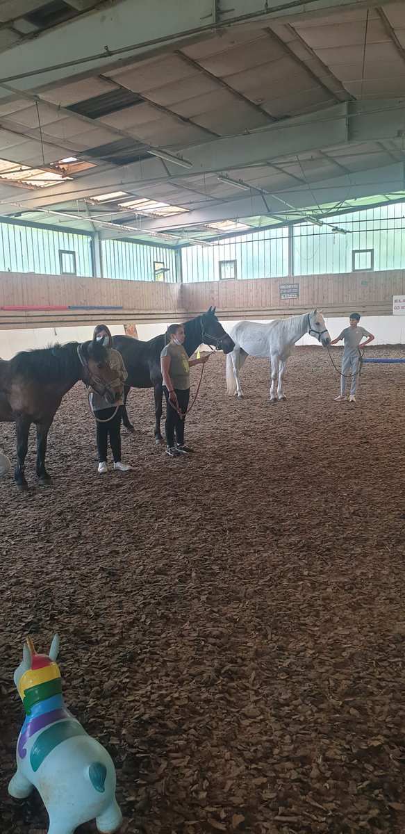Cite_educBehren's tweet photo. Classe olympique #Paris2024.
#equitation belle découverte pour nos collégiens @Eug57 @KlakocerV  @SabriZeghib @de_stephh @CelinePlontz_M @nellybodo @jf_jourdain @Dsden57 @HuartJean https://t.co/i4DHf7vRdO