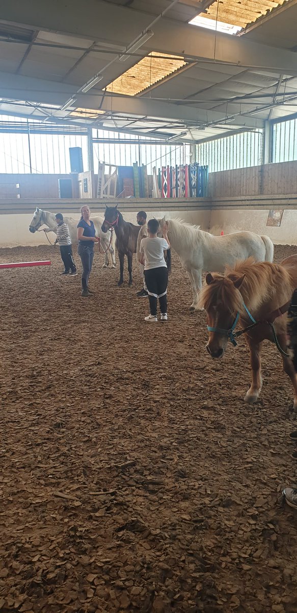 Cite_educBehren's tweet photo. Classe olympique #Paris2024.
#equitation belle découverte pour nos collégiens @Eug57 @KlakocerV  @SabriZeghib @de_stephh @CelinePlontz_M @nellybodo @jf_jourdain @Dsden57 @HuartJean https://t.co/i4DHf7vRdO