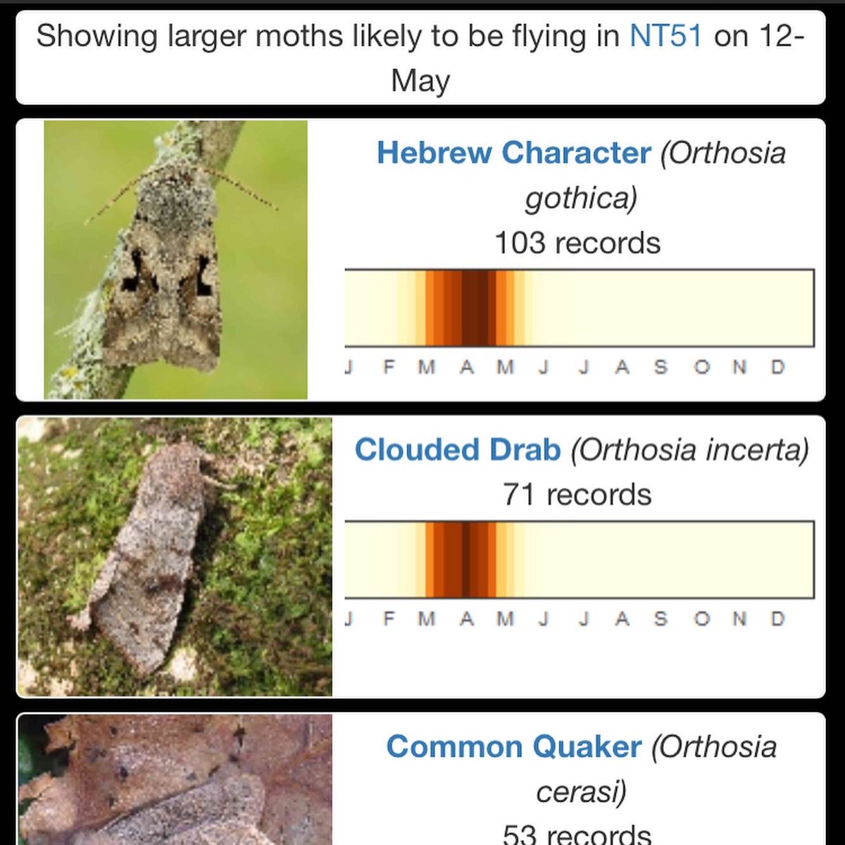 GraemeBWilson's tweet photo. Only a single Hebrew Character in moth trap this morning. No great surprise it was that moth, as Hebrew Character by far most common moth in my 10k sq according to What’s Flying Tonight app.
#moth #HebrewCharacter #mothing #mothtrap #mothtrapping #nature #wildlife
@BBCSpringwatch https://t.co/MSZrw4BTPe