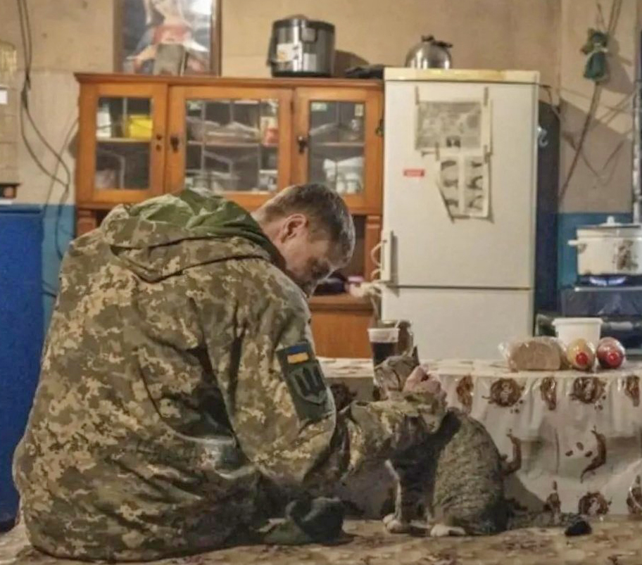 LorenzoTheCat's tweet photo. "Hang in there, we're going to be okay," a Ukrainian soldier tells the cat. 🇺🇦❤️ https://t.co/8vxxCseW92