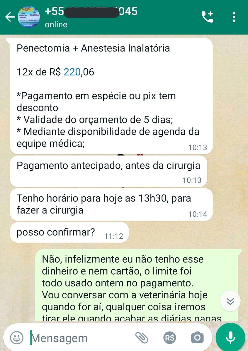 iservewangxian's tweet photo. Oi 🥺 meu gato tá mt mal por negligência médica, romperam a uretra dele. Já tá em outra clínica e precisa fazer cirurgia (R$2640) + 1700 que parcelei no cartão da minhamãe. Não posso pagar, mas n quero que morra. Se alguém puder ajudar com qualquer valor ou com RT, fico MT grata. https://t.co/TNEjeUMP9G