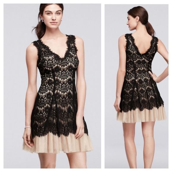 bethsantamonica's tweet photo. So good I had to share! Check out all the items I'm loving on @Poshmarkapp from @xoheartsyou #poshmark #fashion #style #shopmycloset #averyg #freepeople: https://t.co/NQxmY0o1n2 https://t.co/hzjd0olQNO
