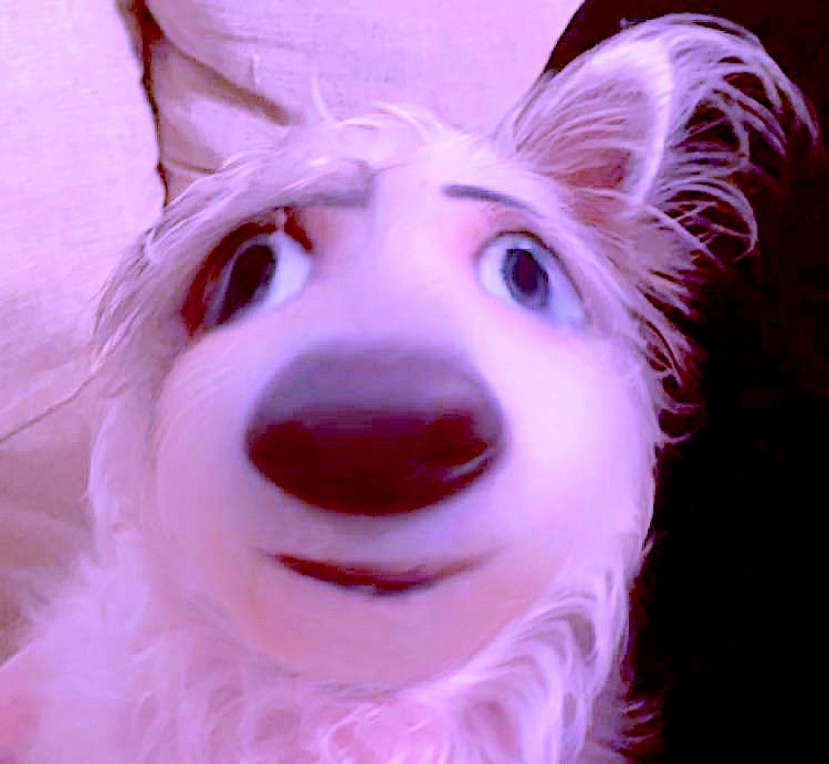 persesussimon's tweet image. wen your &amp;lt;3 still full of hopes and dreams..