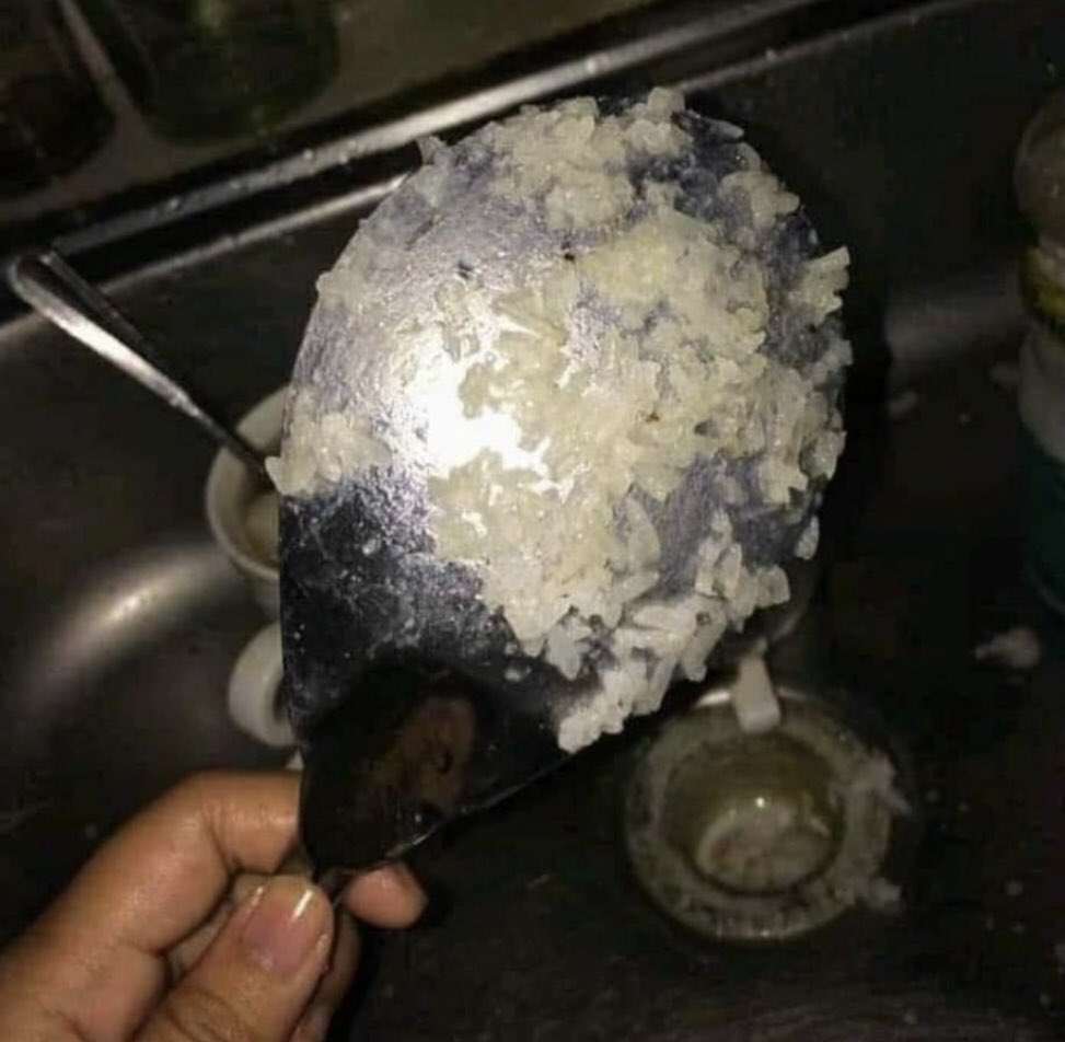 Strictly4Indian's tweet photo. God asked me death or clean this.
I chose death https://t.co/9PmOxACAWM
