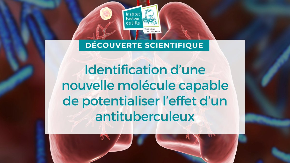 PasteurLille photo