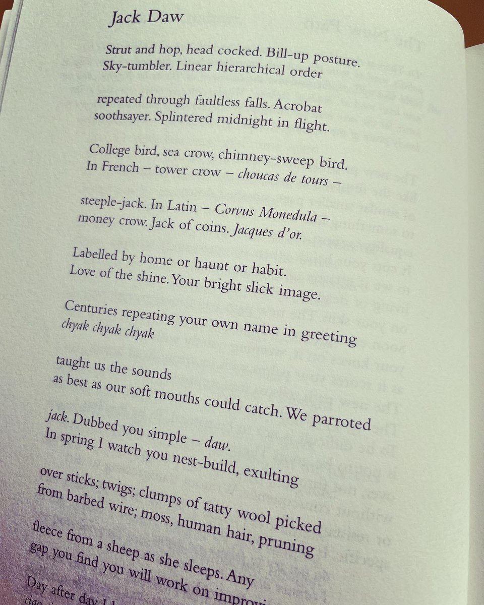writer_suzy's tweet photo. ‘Splintered midnight in flight’
The gorgeous words of @pollyrowena from Jack Daws.
And some dolly mixture. #poemsandsweets #basicnestarchitecture #writerscommunity #jackdaws https://t.co/QKu5DmRlWY