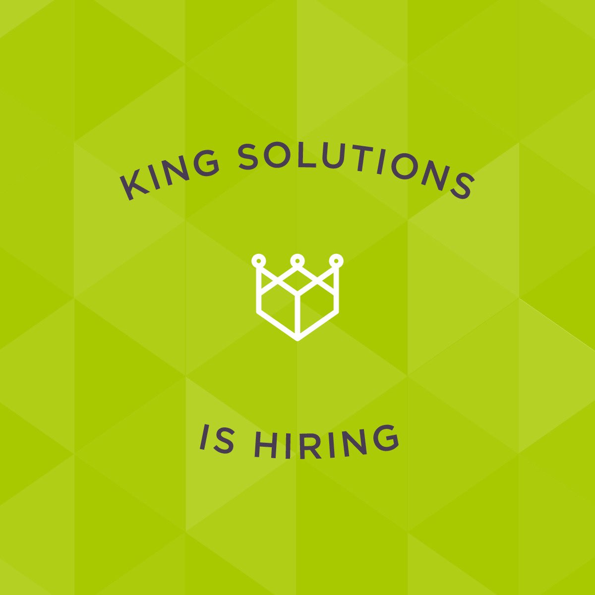KingSolutionsMN's tweet photo. Our team is growing and we have current openings for an HR Generalist and Customer Care Associate! Learn more and apply here: https://t.co/HmGoEiEhHY https://t.co/Etqg4TwulH