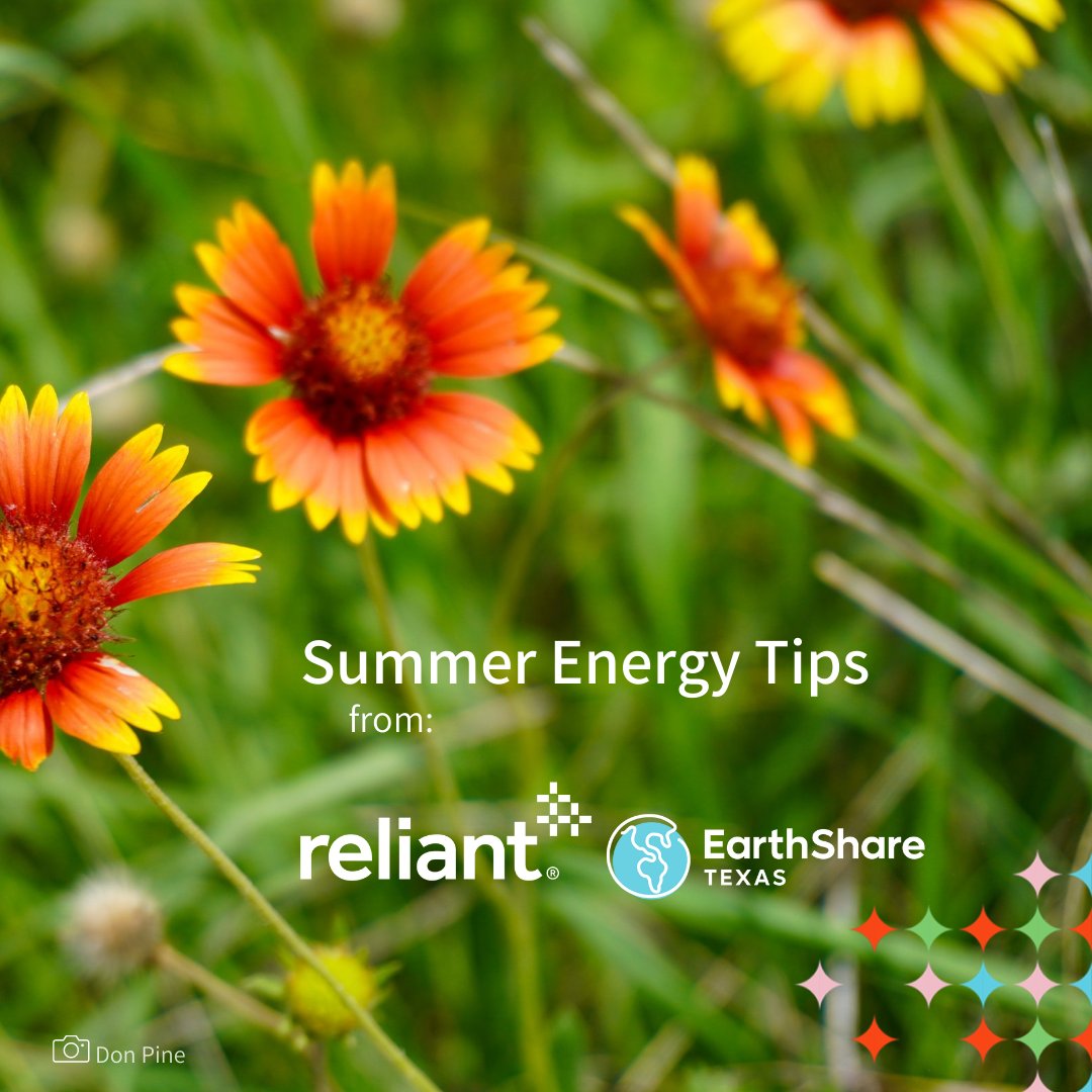 AquiferEdwards's tweet photo. Our friends at Reliant Energy have some tips for helping our Texas environment this summer : follow the 4-by-4 rule. 

If no one is going to be home for more than 4 hours, set the temperature 4 degrees higher while you’re gone. It will make a bigger impact than you think! https://t.co/ZTbrcscFke