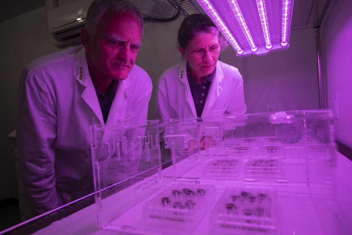 NASASpaceSci's tweet photo. BIG NEWS: Researchers grew plants in lunar soil for the first time! 🌱🌖

Congrats to @UF on growing Arabidopsis plants in regolith collected during the Apollo era. We’ll study the same species on #Artemis I as we prep to return to the Moon. https://t.co/fsollo0lvX https://t.co/ZsjKKZXu9v