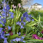 Photo by Torridge House (@TorridgeHouse)