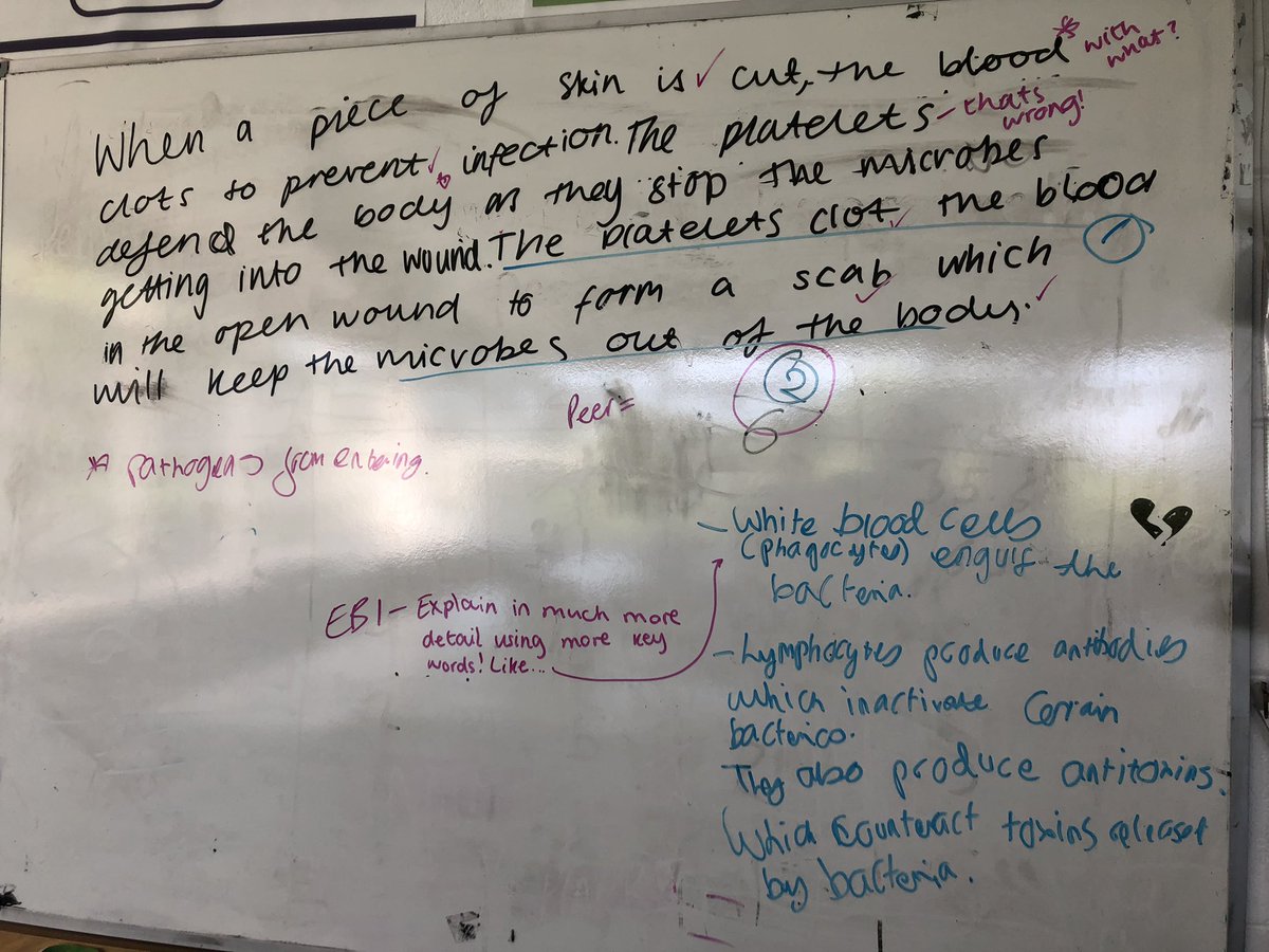 Excellent work from Year 11 drafting and re-drafting QER responses in preparation for the exam on Tuesday <a href="/BOLHS_Year11/">BOLHS_Year11</a>