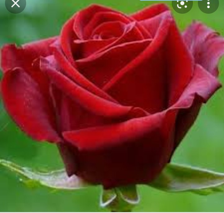 IsmaelCuba5's tweet photo. #CubanoConDerechoaAmarte🌻🇲🇽!
Buenos y Bendecidos Días Mi Adorada Hermana Susy🌼💛👌!!!
Abrazos @Shen76002347 @Claudimotiva @alancastillo40
#TeamDioses_Míticos #Fellowback
#MigueAyalde2k
#BomberosdeCuba https://t.co/kNahd97kFy