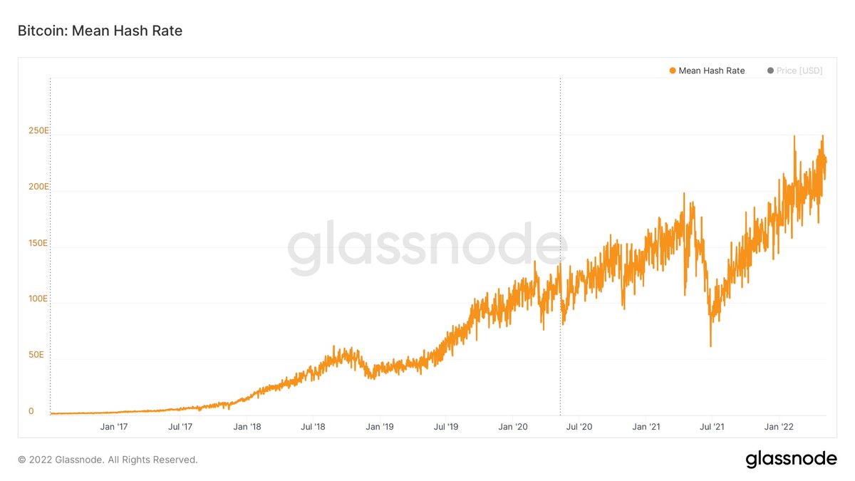 Anthony Pompliano 🌪 tweet media