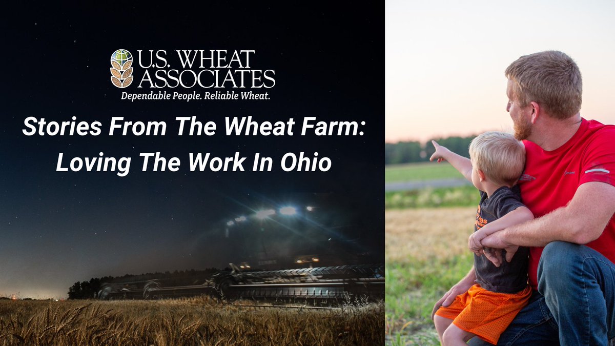 US Wheat Associates tweet media