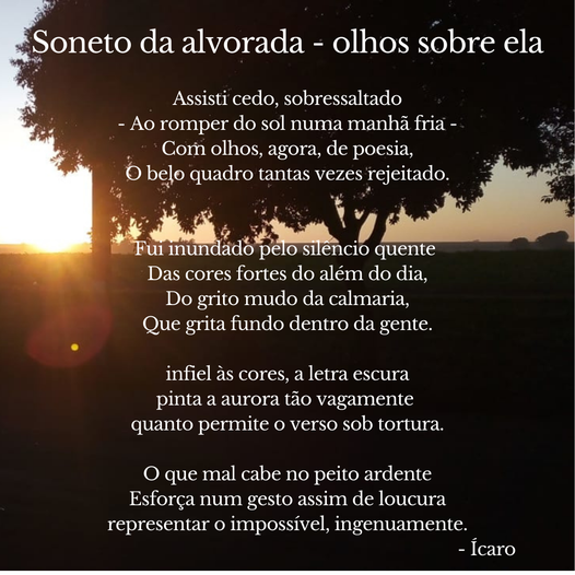 GalacIcarus's tweet photo. icarusautor quando lentes péssimas fazem boas imagens. #poesia #arte #poema #literatura #solnascente #aurora #ingenuidade #poeta https://t.co/ZiPwgHjt4Y