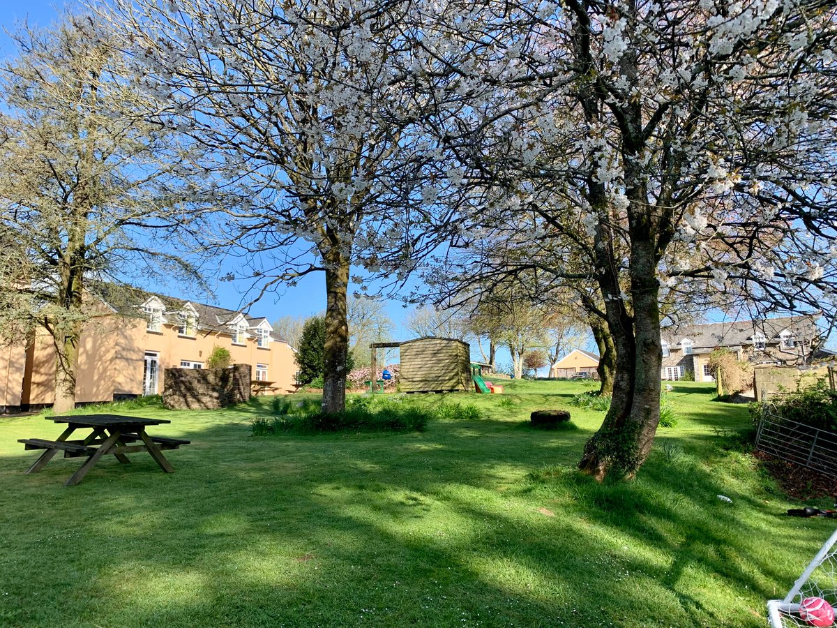 TorridgeHouse's tweet photo. Torridge House Cottages, bursting with colour, ducklings and their friends ...... https://t.co/jJoYX2Sdqv https://t.co/wI9WVhIaON