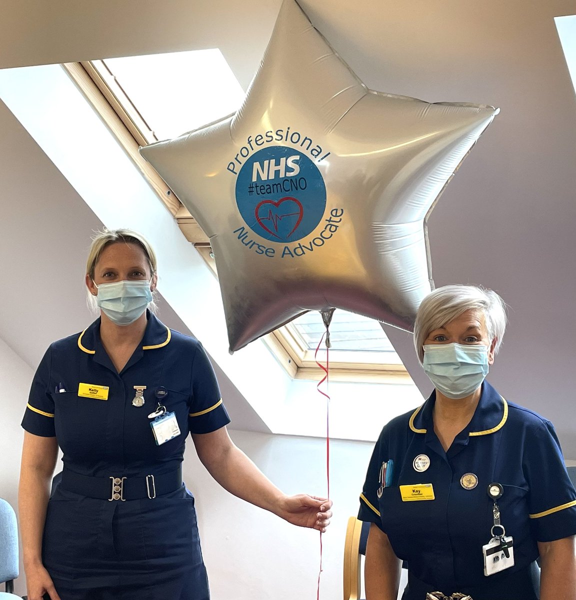 Professional Nurse Advocates tweet media