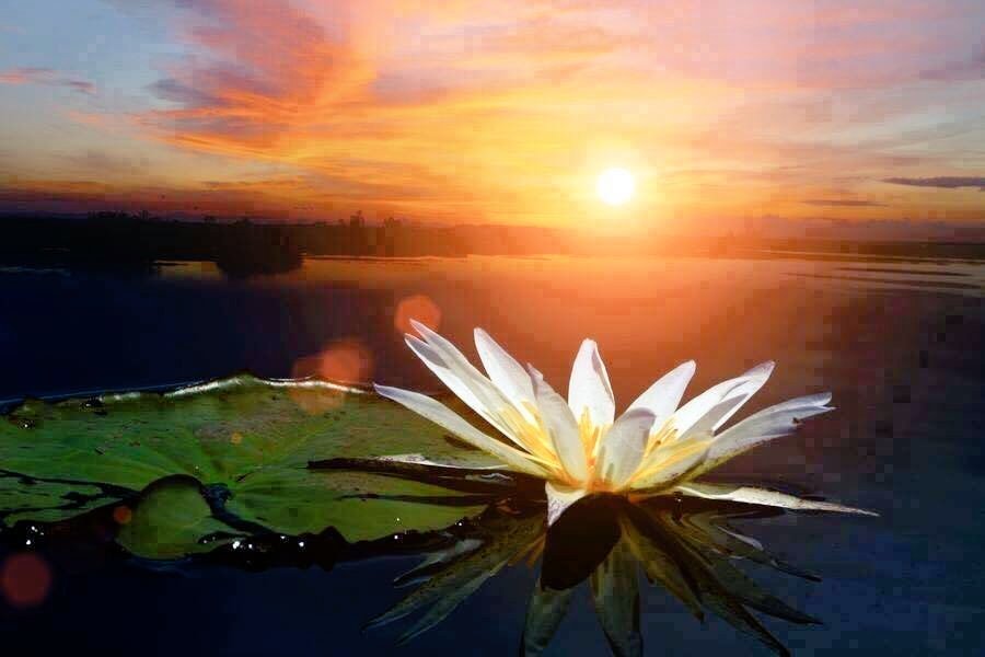 Massimo Moscarelli tweet media