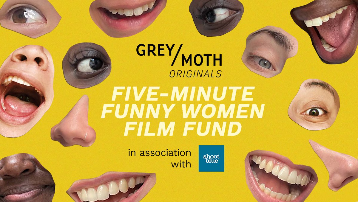 Grey Moth tweet media