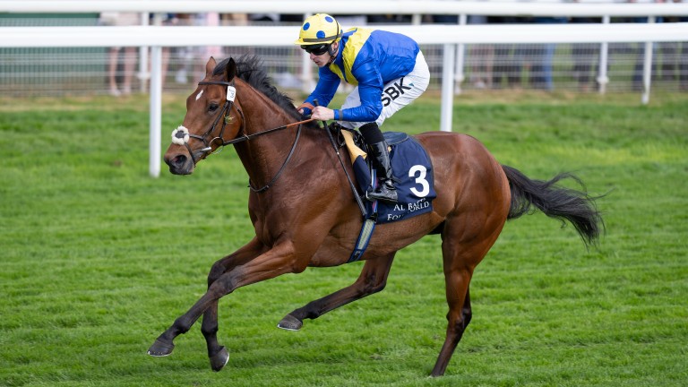 rpbloodstock's tweet photo. Desert Crown cemented his place at the head of the Derby market with a commanding victory in York's Dante Stakes.
The Nathaniel colt is a half-brother to Hong Kong Group 3 winner Flying Thunder and was bred by Strawberry Fields Stud who sold him to Blandford Bloodstock at Book 2 https://t.co/w0xQh2jAaq