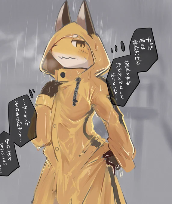 雨の日はレインコートを着て出かけよう 