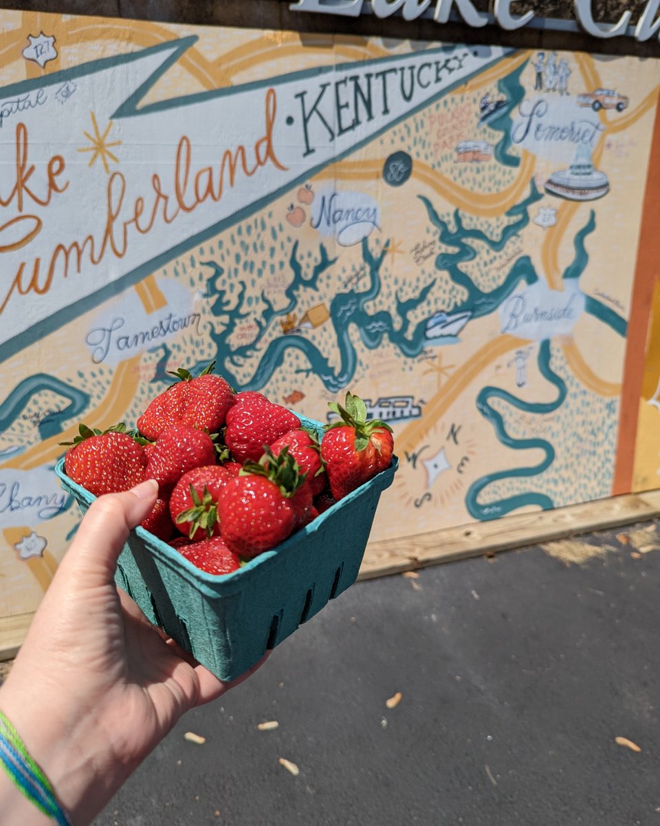_LakeCumberland's tweet photo. It's berry season! Pictured here are Wilson's Cedar Point Farm strawberries 🤤 #lc365 #lakecumberland #agritourism https://t.co/FzsLP1k4GK