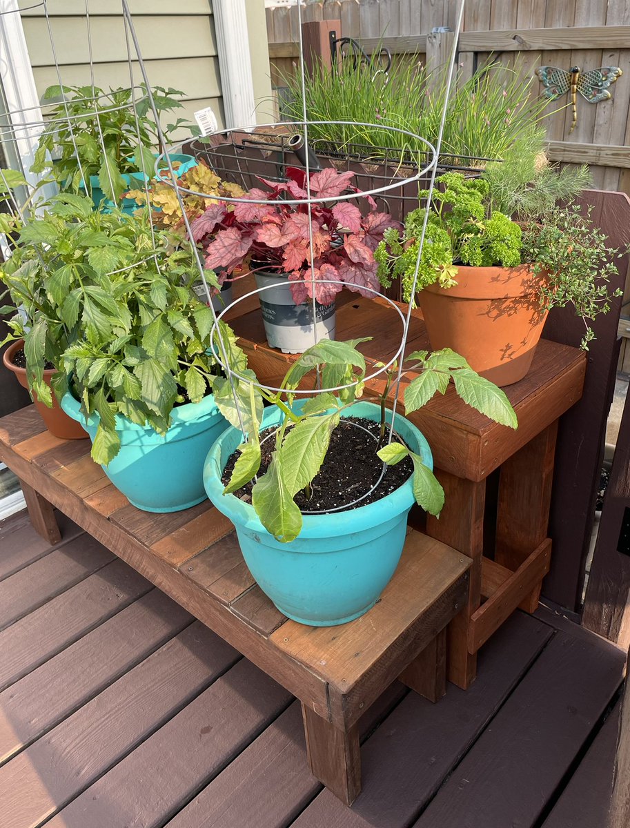 putyourhenzaup's tweet photo. これが今シーズンの最終形態😉ﾀﾌﾞﾝﾈ
#DIY #palletbench #Flower #ガーデニング https://t.co/l765E2sWlw