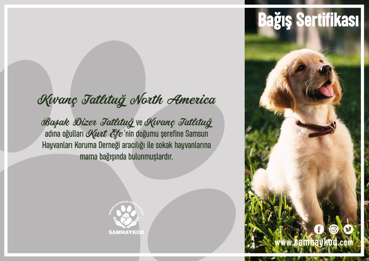 samhaykod's tweet photo. Kivanç Tatlitug North America donated food to stray animals via Samhaykod on behalf of Kıvanç Tatlıtuğ and Başak Dizer Tatlıtuğ, in honor of their son Kurt Efe's birth.
@kivanctatlitug @Kivanc_NAmerica https://t.co/639NQ4Vbrd