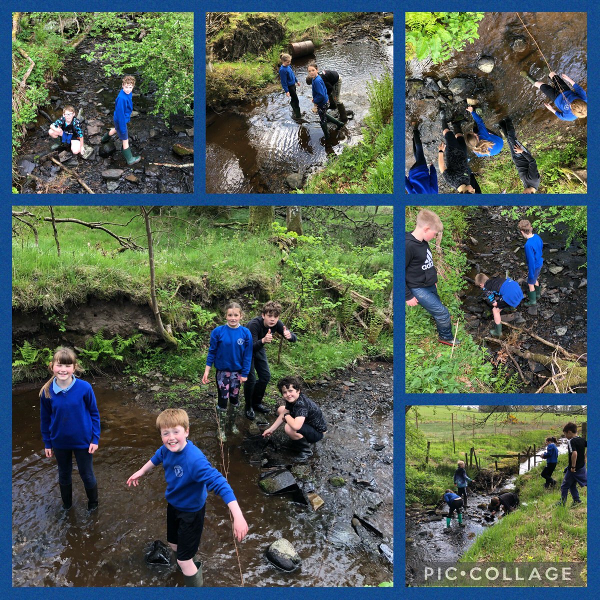 Dam building this morning in P5/6/7. Some amazing team work. And of course we left everything just as we found it. 💪😎